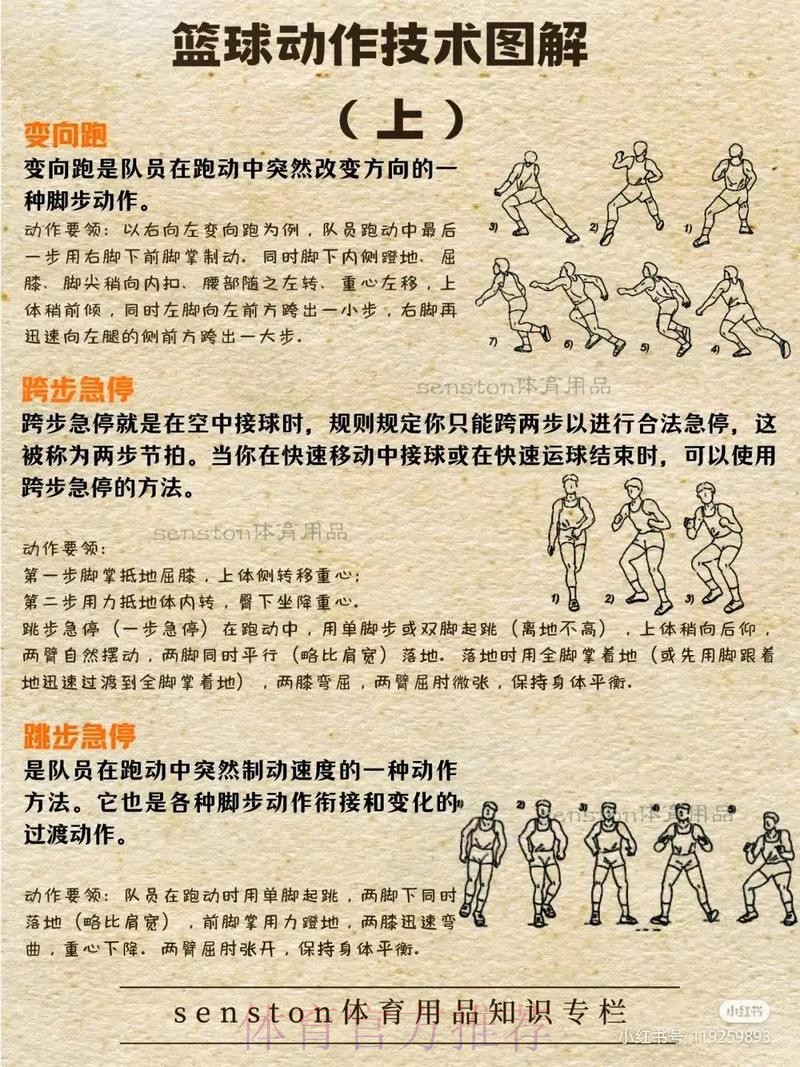 深入解析篮球世界杯下注技巧与策略